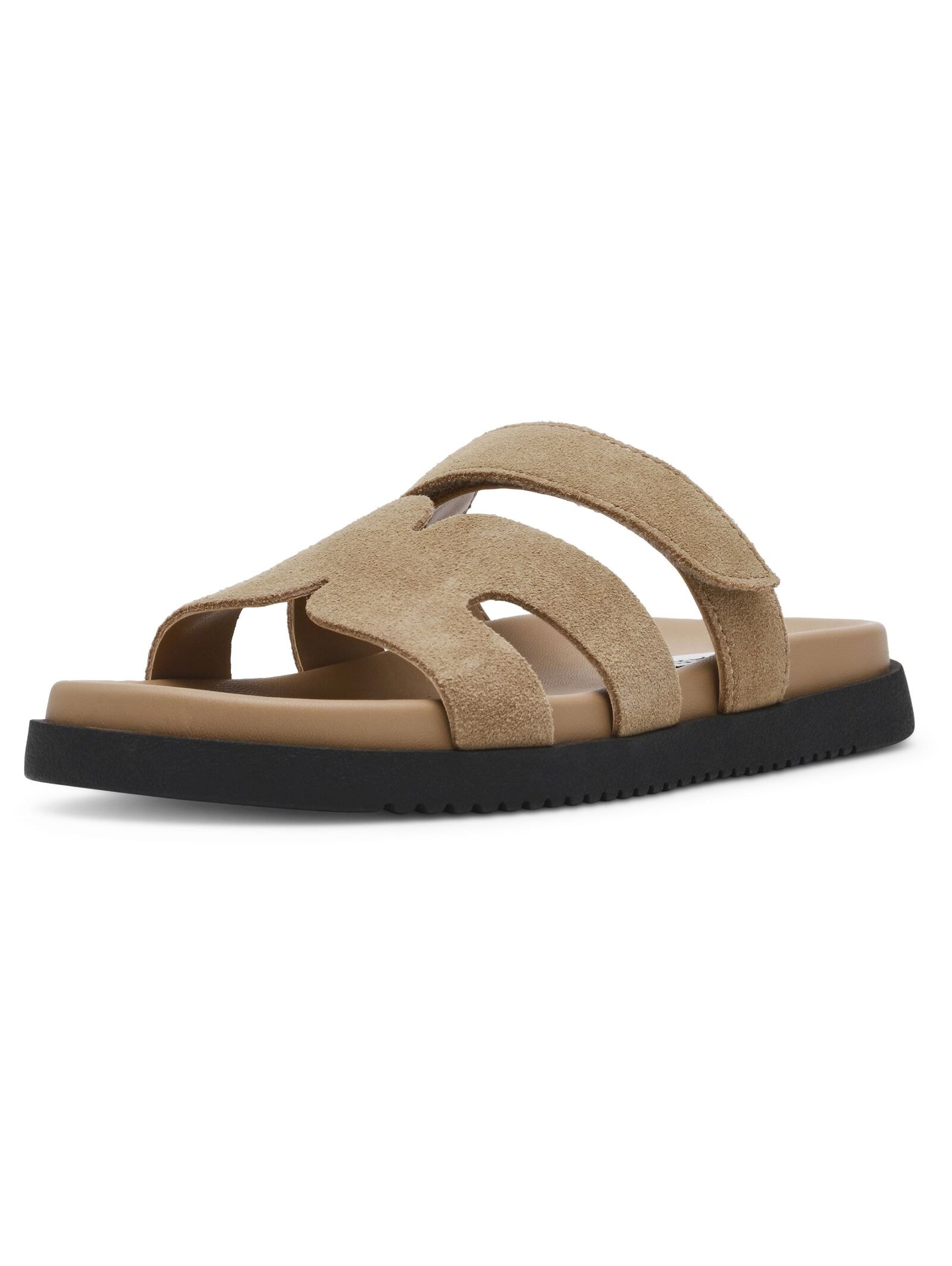 STEVE MADDEN "STEVE MADDEN Pantoletten Veloursleder"