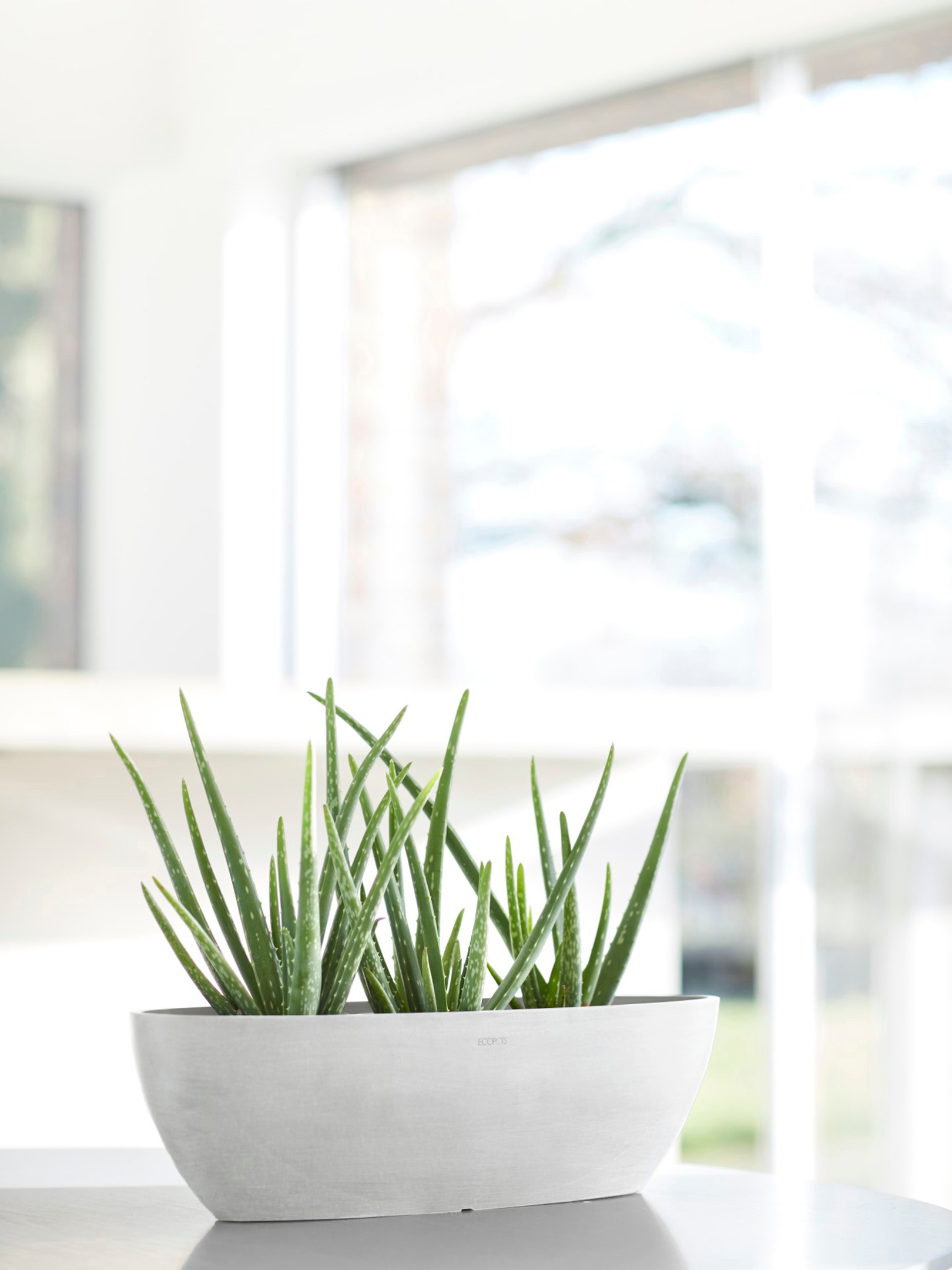 ECOPOTS Blumentopf »Sofia lang 56 Weiß«, für innen und außen: frostsicher, bruchsicher und lichtbeständig