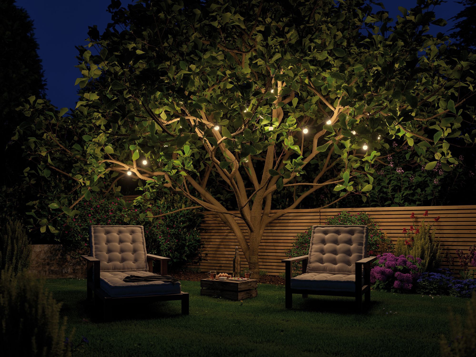 Shine LED-Lichterkette kaufen BAUR »Outdoor Plug | & Paulmann Lichterkette«