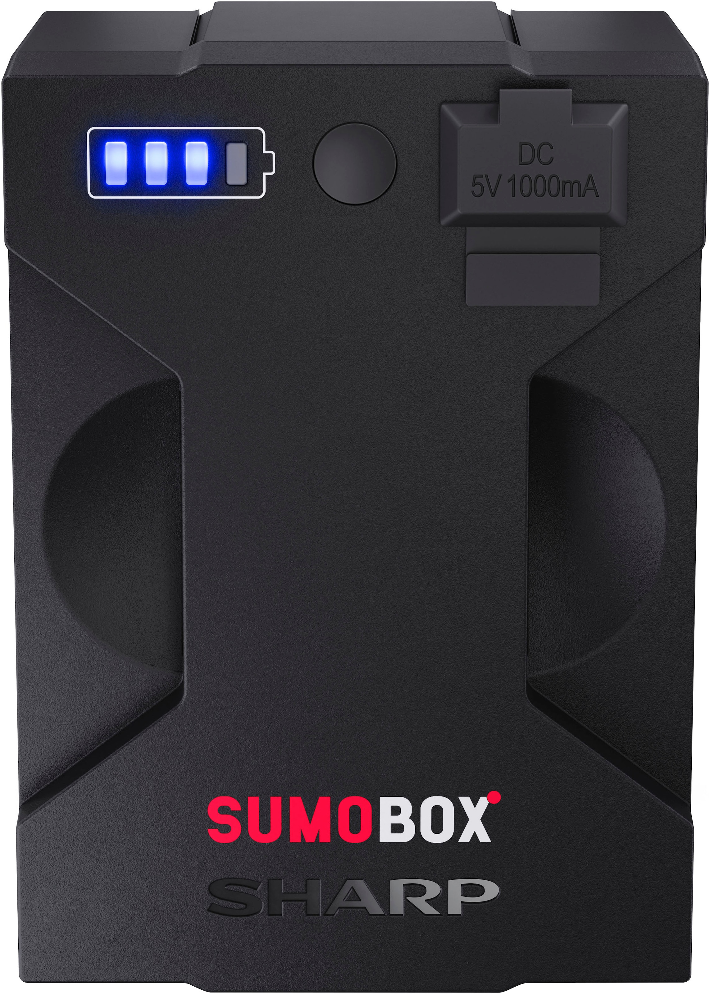 Sharp Batterie-Ladegerät »Sumobox Batteriepack und Ladegerät«, 1000 mA