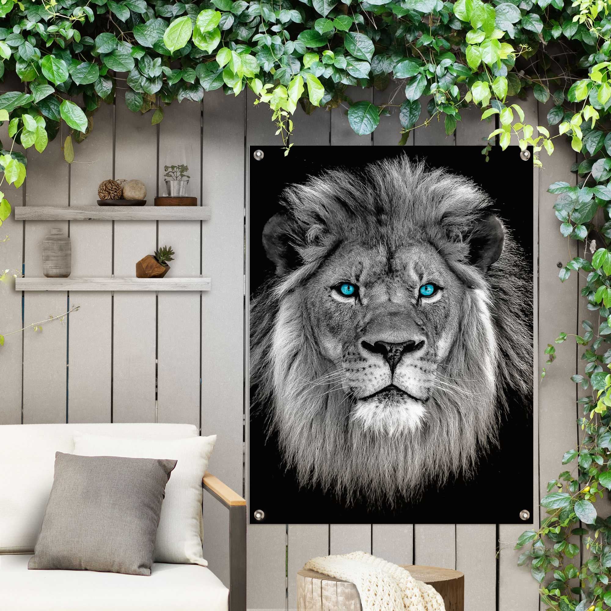 »Löwe | Poster kaufen blaue oder mit Balkon Augen«, Reinders! Garten Outdoor BAUR für