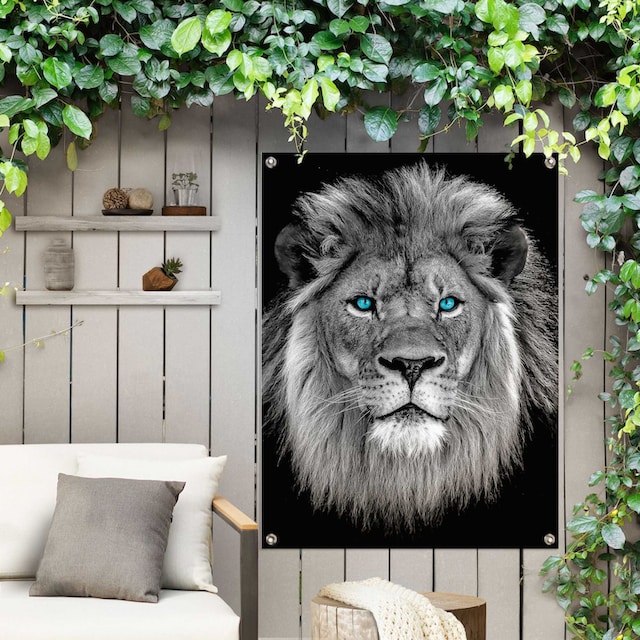Reinders! Poster »Löwe mit blaue Augen«, Outdoor für Garten oder Balkon  kaufen | BAUR