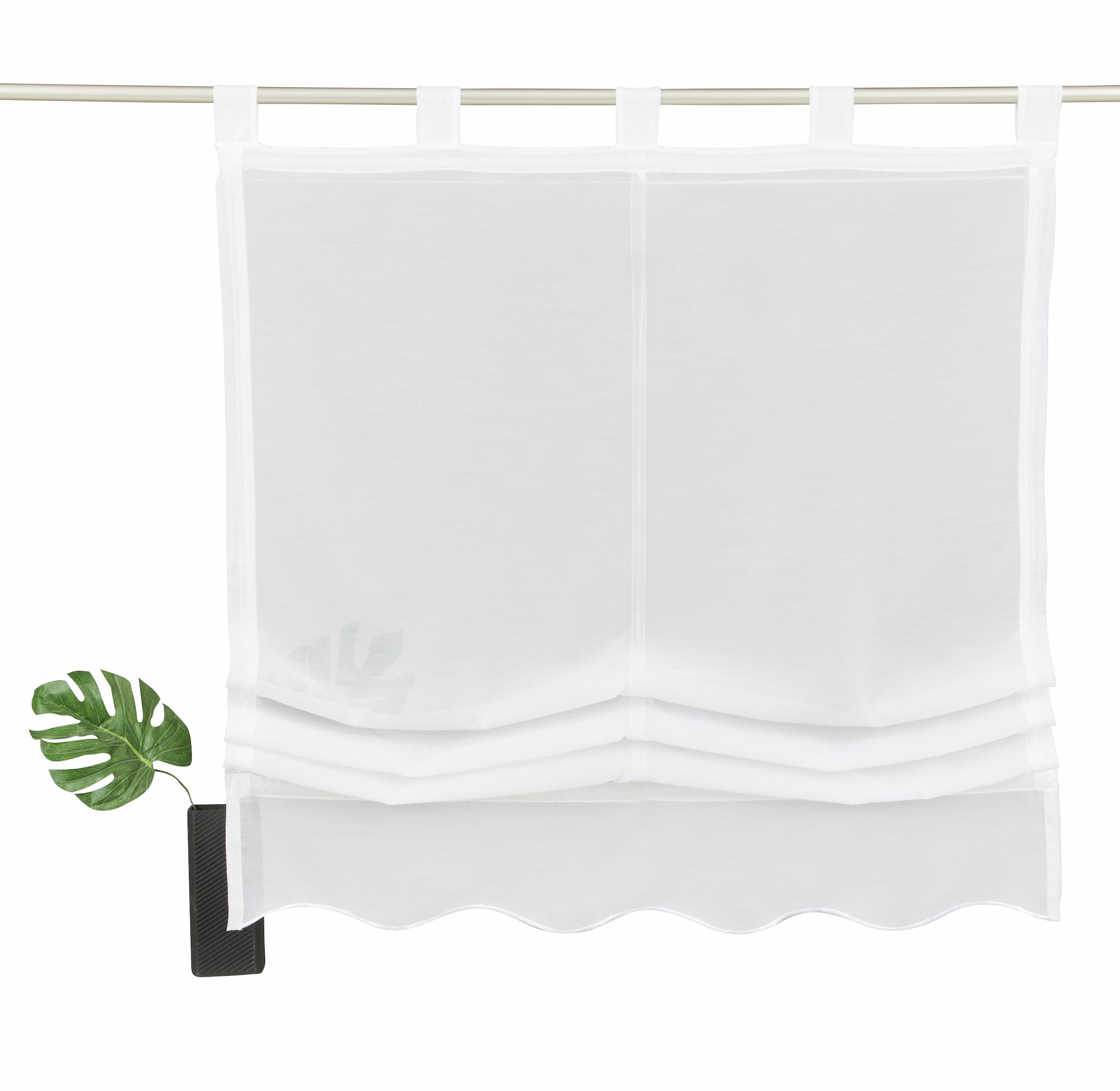 my home Raffrollo BAUR Transparent, »Carpi«, mit Schlaufen, Polyester Voile, 