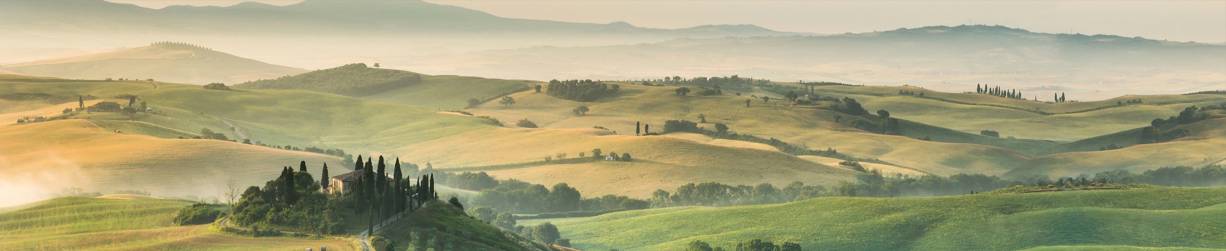 Express Küchen Küchenrückwand "Toscana", (1 tlg.)