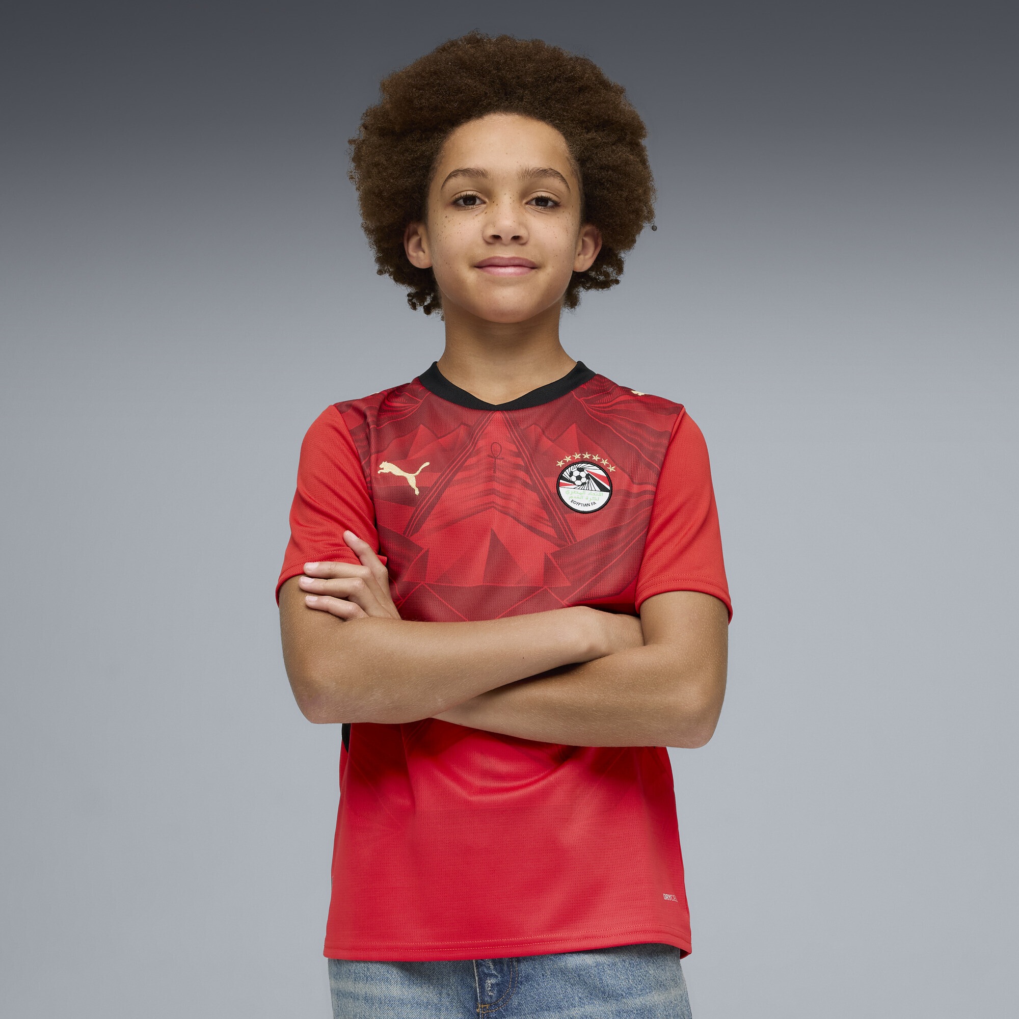 PUMA Trainingsshirt »Ägypten Heimtrikot Jugendliche«