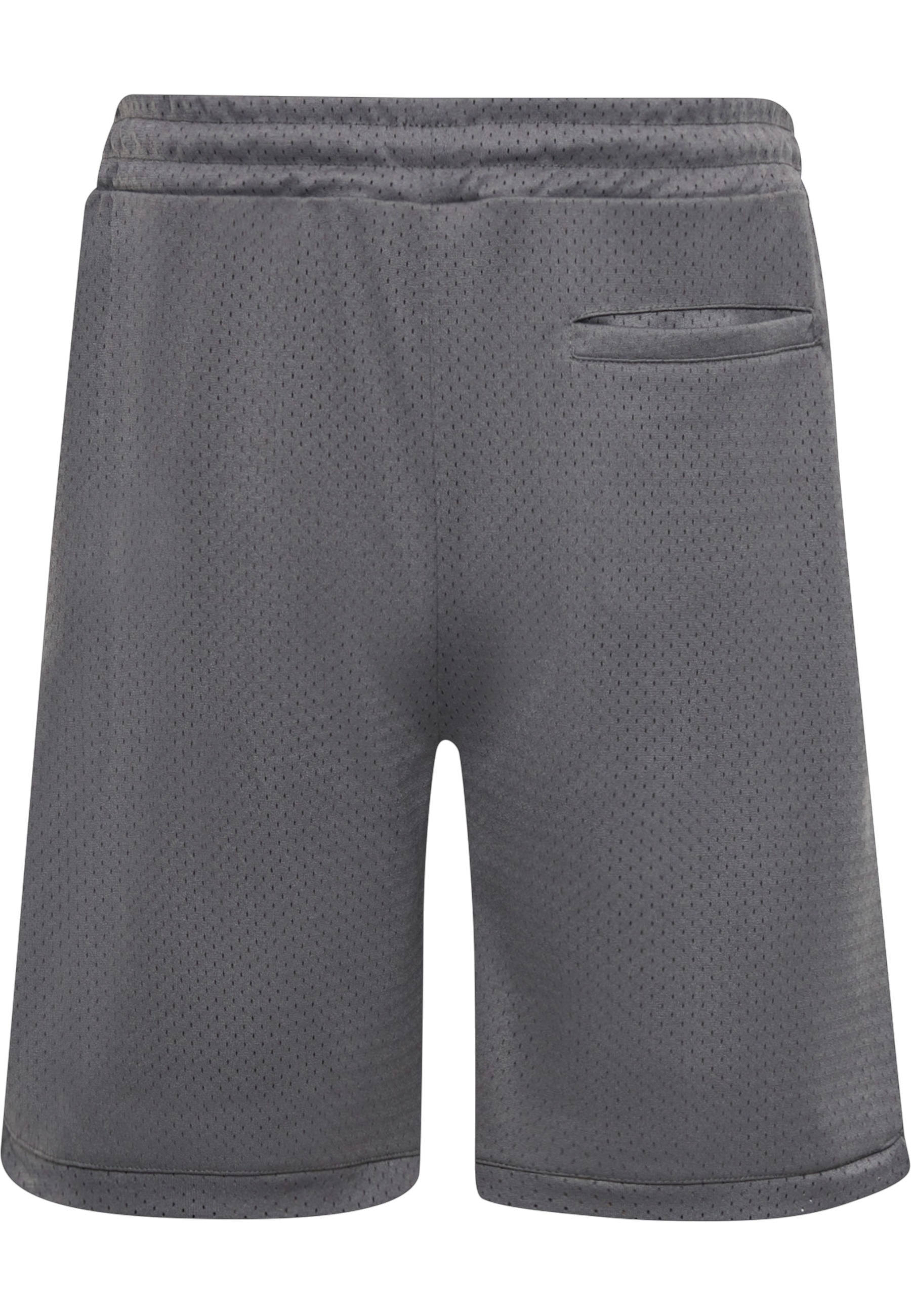 Dropsize Shorts »Dropsize Herren Dropsize V2 Mesh Shorts«
