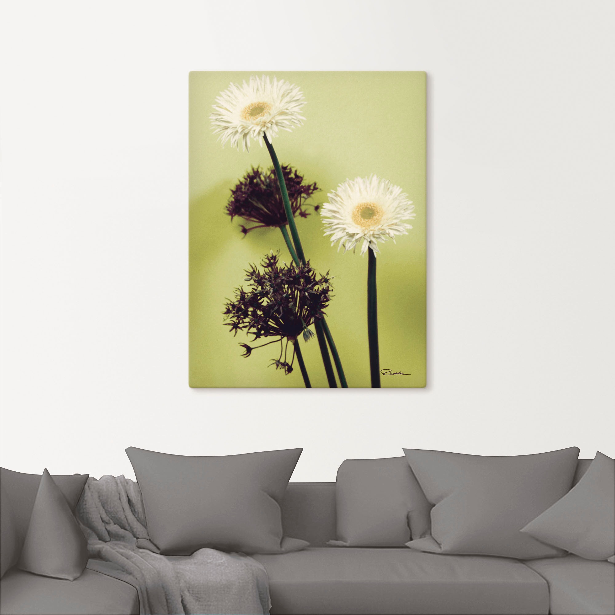 Artland Wandbild »Zwei vor grün - Gerberas«, Blumenbilder, (1 St.), als Leinwandbild in verschied. Größen