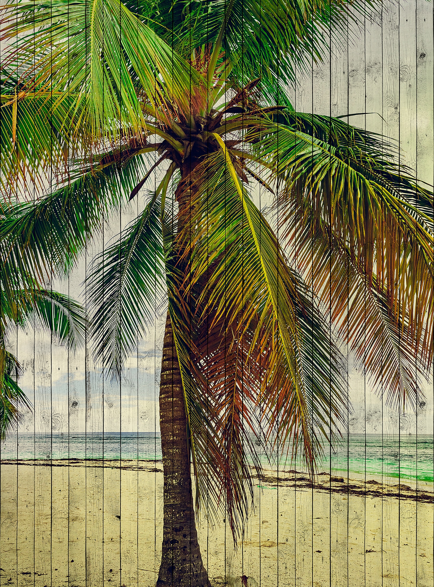 living walls Fototapetas »Walls by Patel Tahiti 3« ...