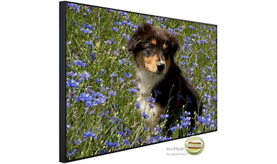 Papermoon Infrarotheizung »Hund in Blumenwiese«, sehr angenehme Strahlungswärme kaufen