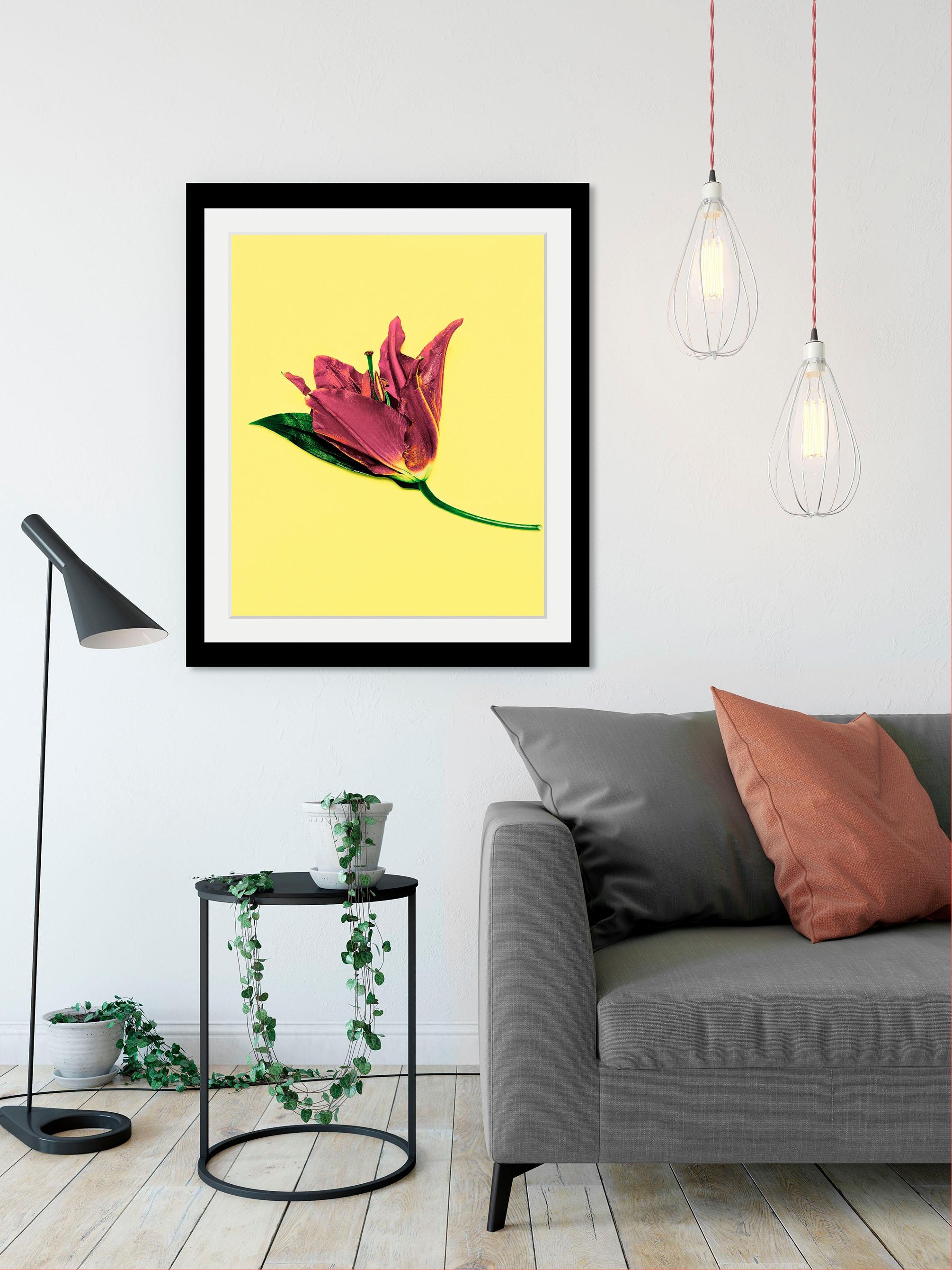 queence Bild »Blume« Blumen | Blumenbilder | Kunst | Pflanzen HD Premium Poster-Druck inkl. Holzrahmen