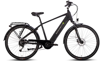 E-Bike »Deluxe Sport Man«, 9 Gang, Shimano, Alivio, Mittelmotor 250 W