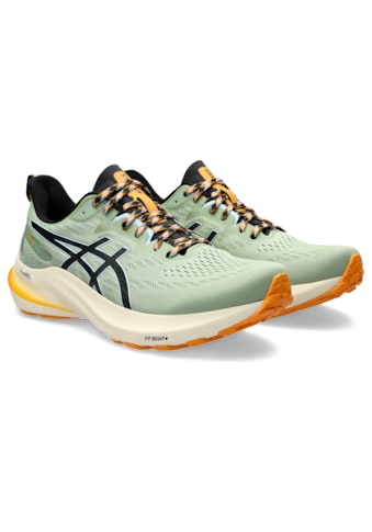 Asics Trailrunningschuh »GT-2000 12 TR«