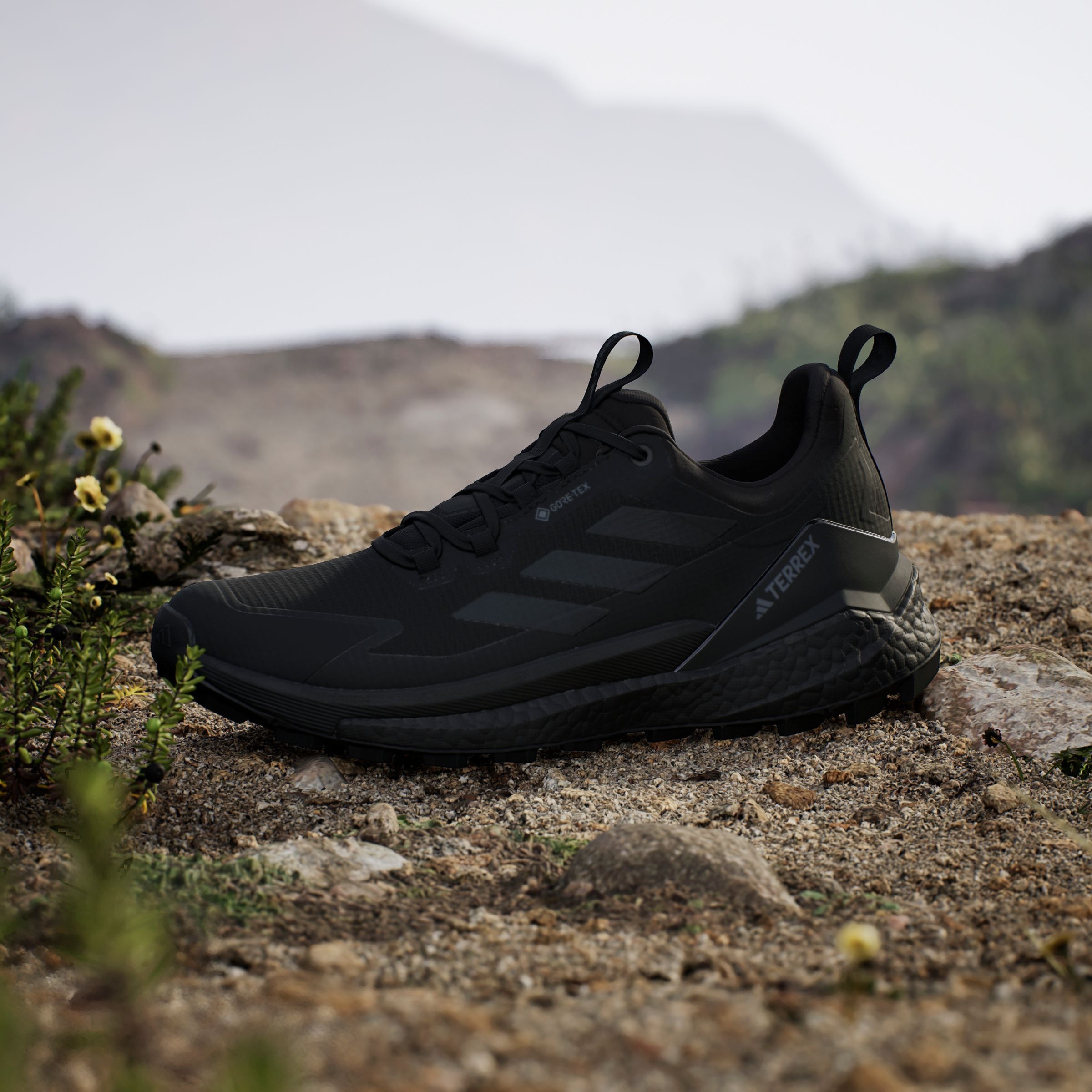 adidas TERREX Wanderschuh »TERREX FREE HIKER 2.0 LOW GORE-TEX«, wasserdicht