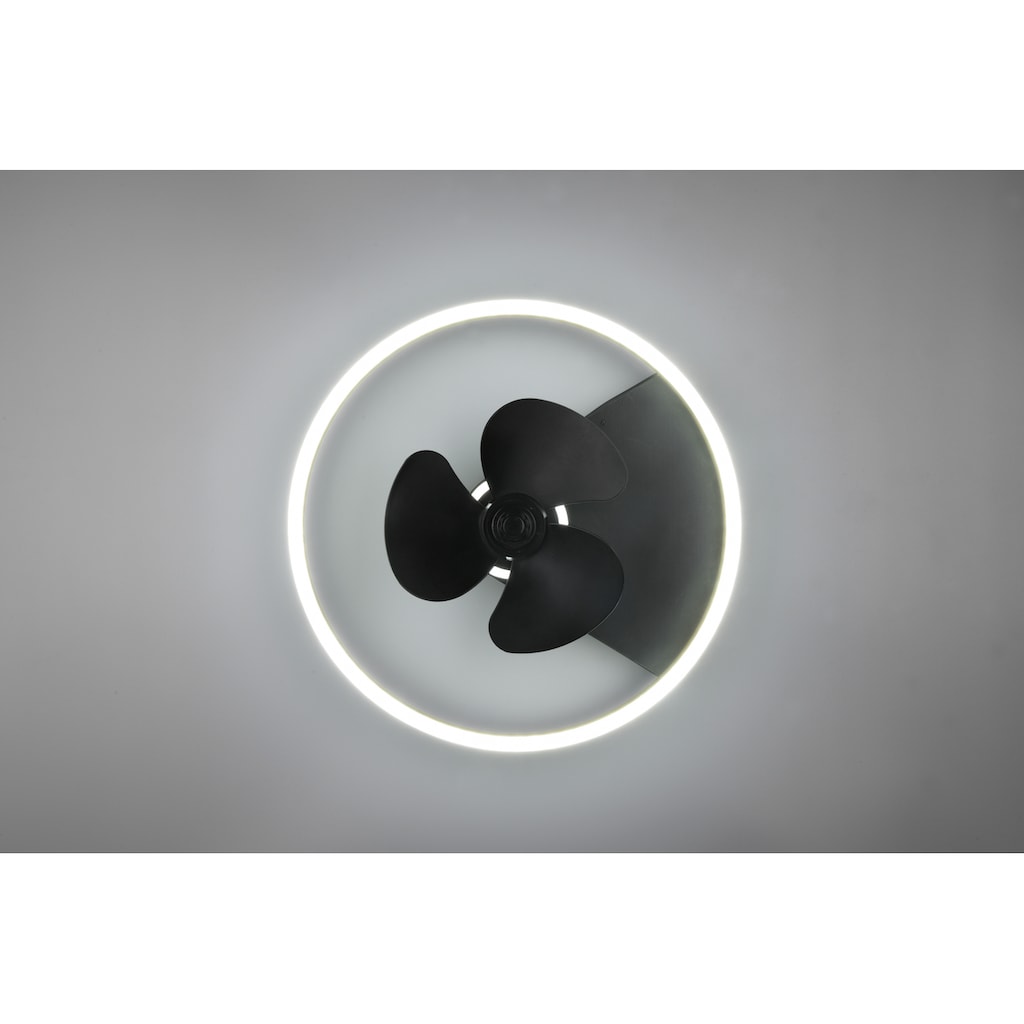 TRIO Leuchten LED Deckenleuchte »Borgholm«, mit Ventilator, Fernbedienung, integrierter Dimmer und Nachtlicht. Leuchte und Ventilator getrennt schaltbar