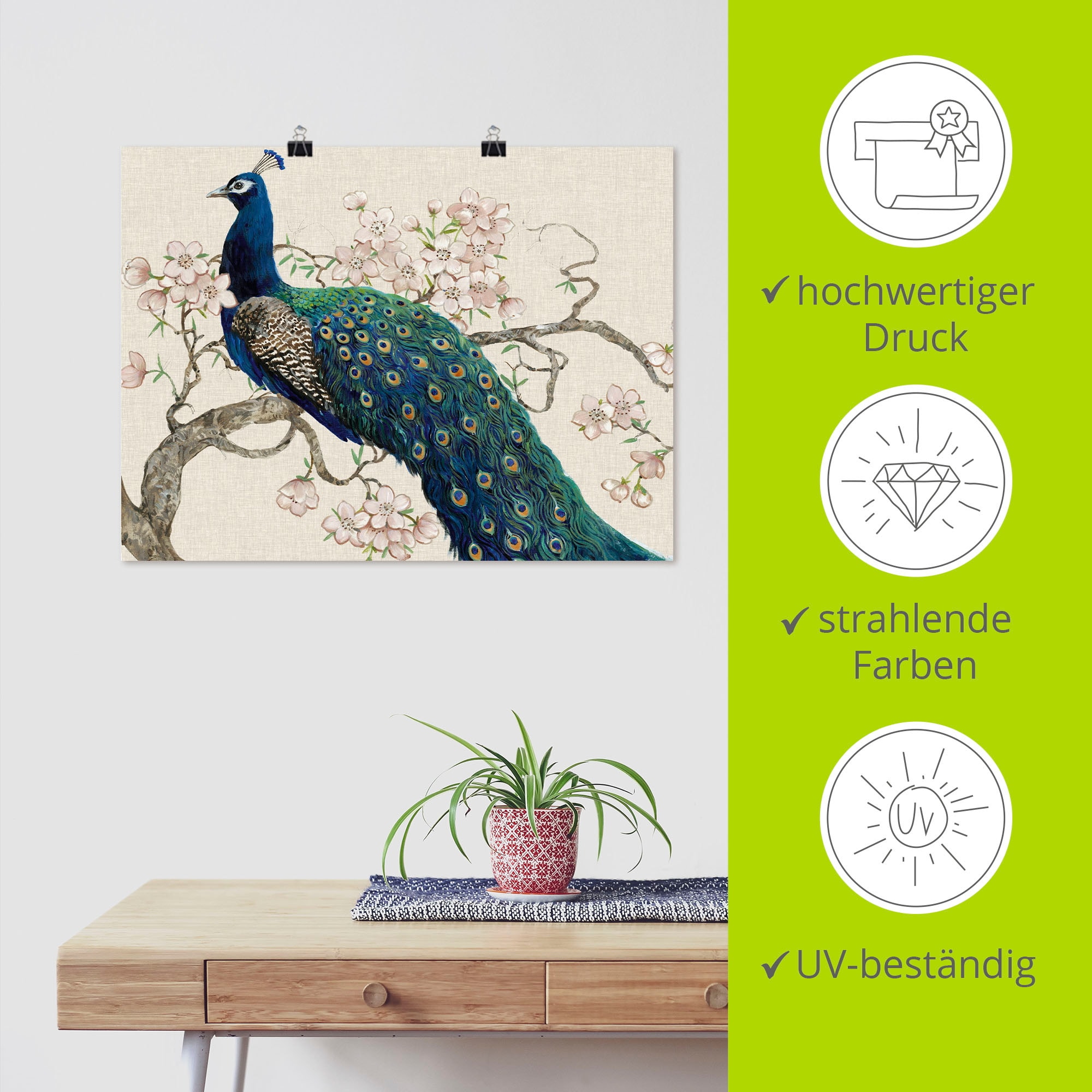 Artland Wandbild »Pfau & Blüten II« Vögel 1 Stk. tlg. als Alubild, Outdoorbild, Leinwandbild, Poster in verschied. Größen