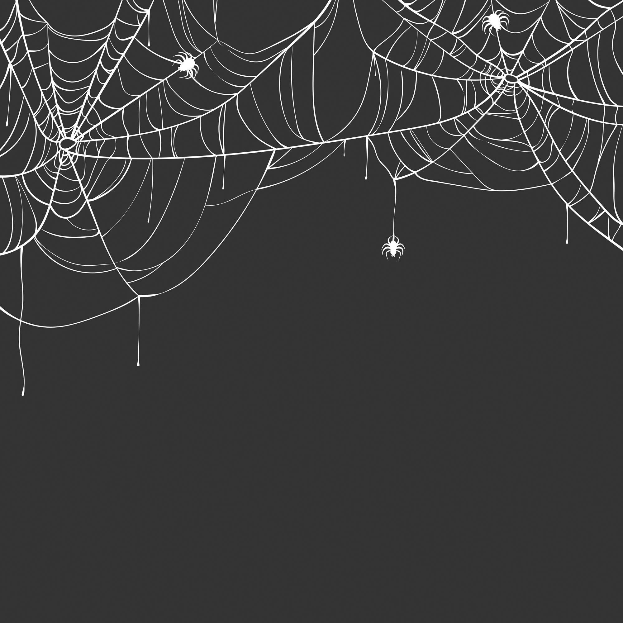 queence Dekokissen "Spiderman" Kissenhülle ohne Füllung, 1 Stück günstig online kaufen