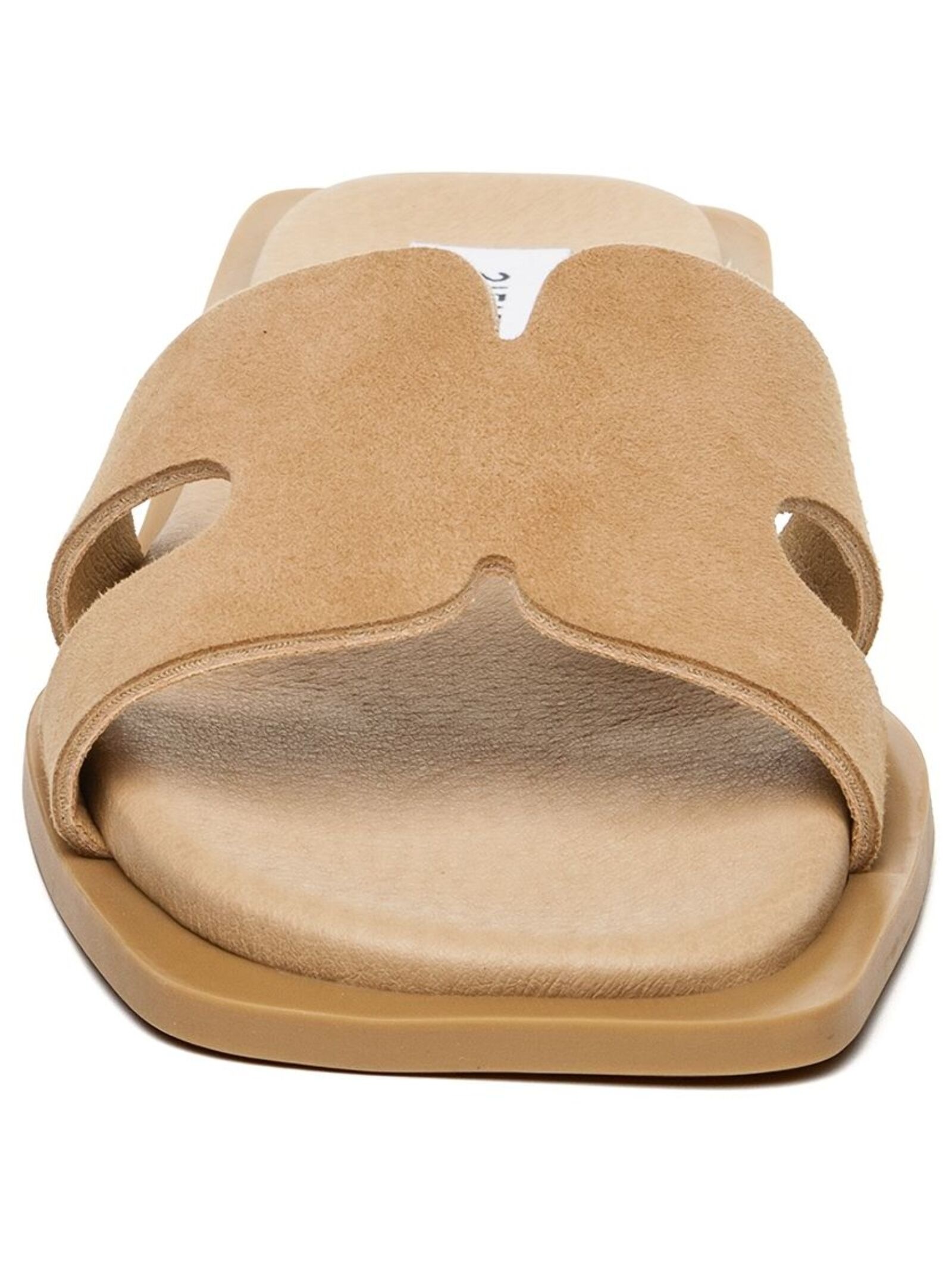 STEVE MADDEN Pantolette »STEVE MADDEN Pantoletten Veloursleder«