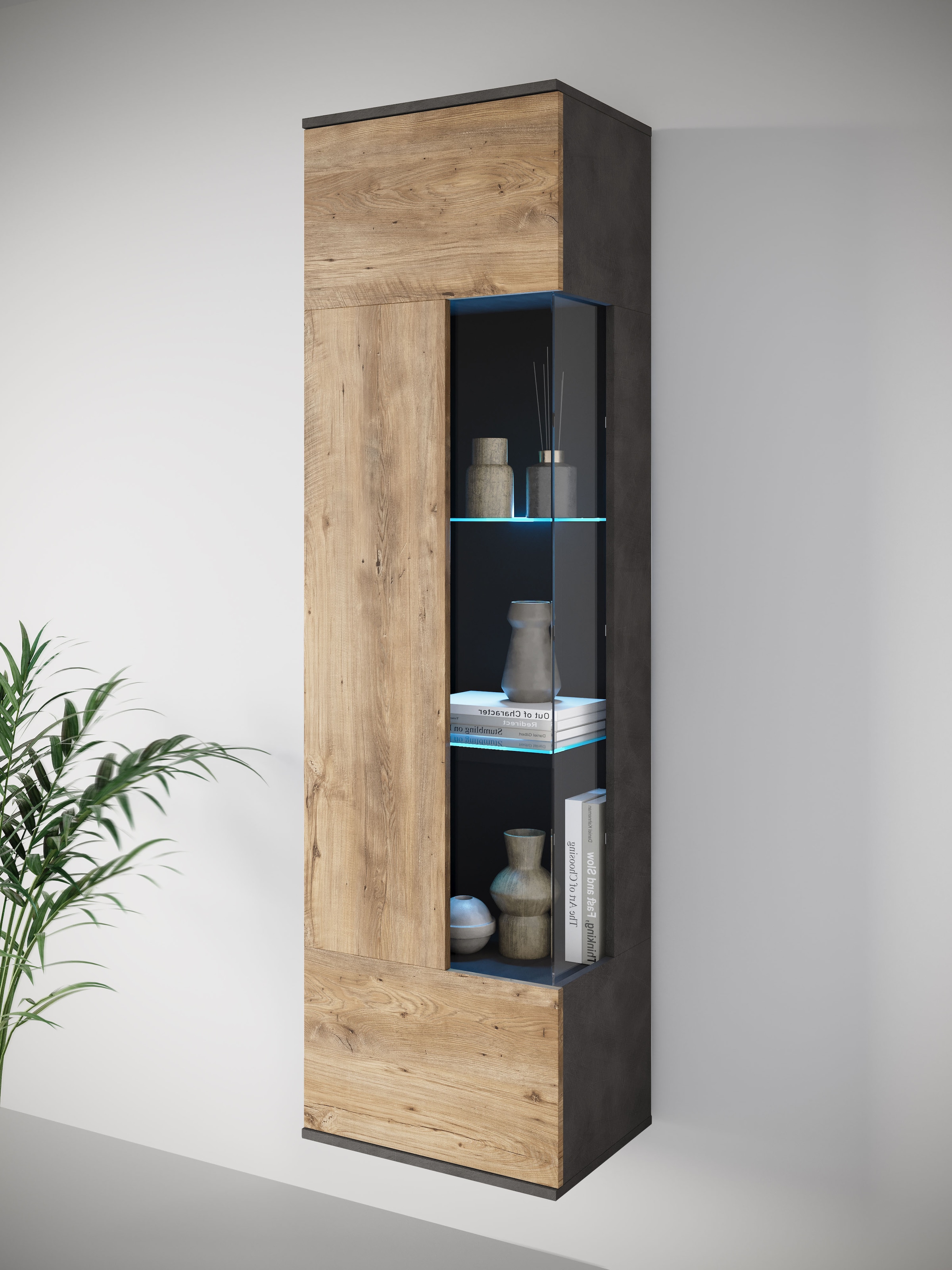 INOSIGN Vitrine "Kenia, stehend und hängend, Türanschlag wechselbar", (1 St günstig online kaufen