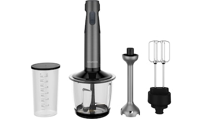 Stabmixer »Set Delisia NovusTM BL 7180«, 800 W