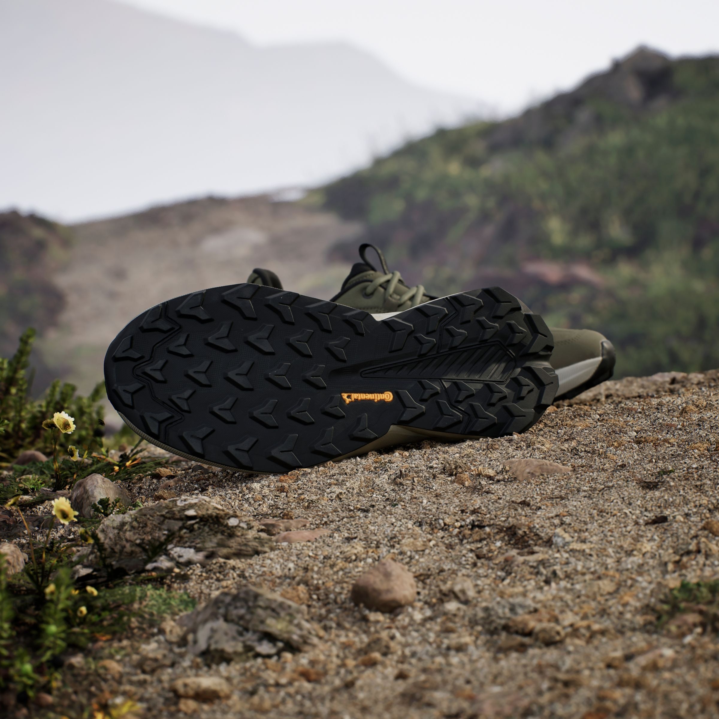 adidas TERREX Wanderschuh »TERREX TRAILMAKER 2.0 LEATHER«, aus Leder
