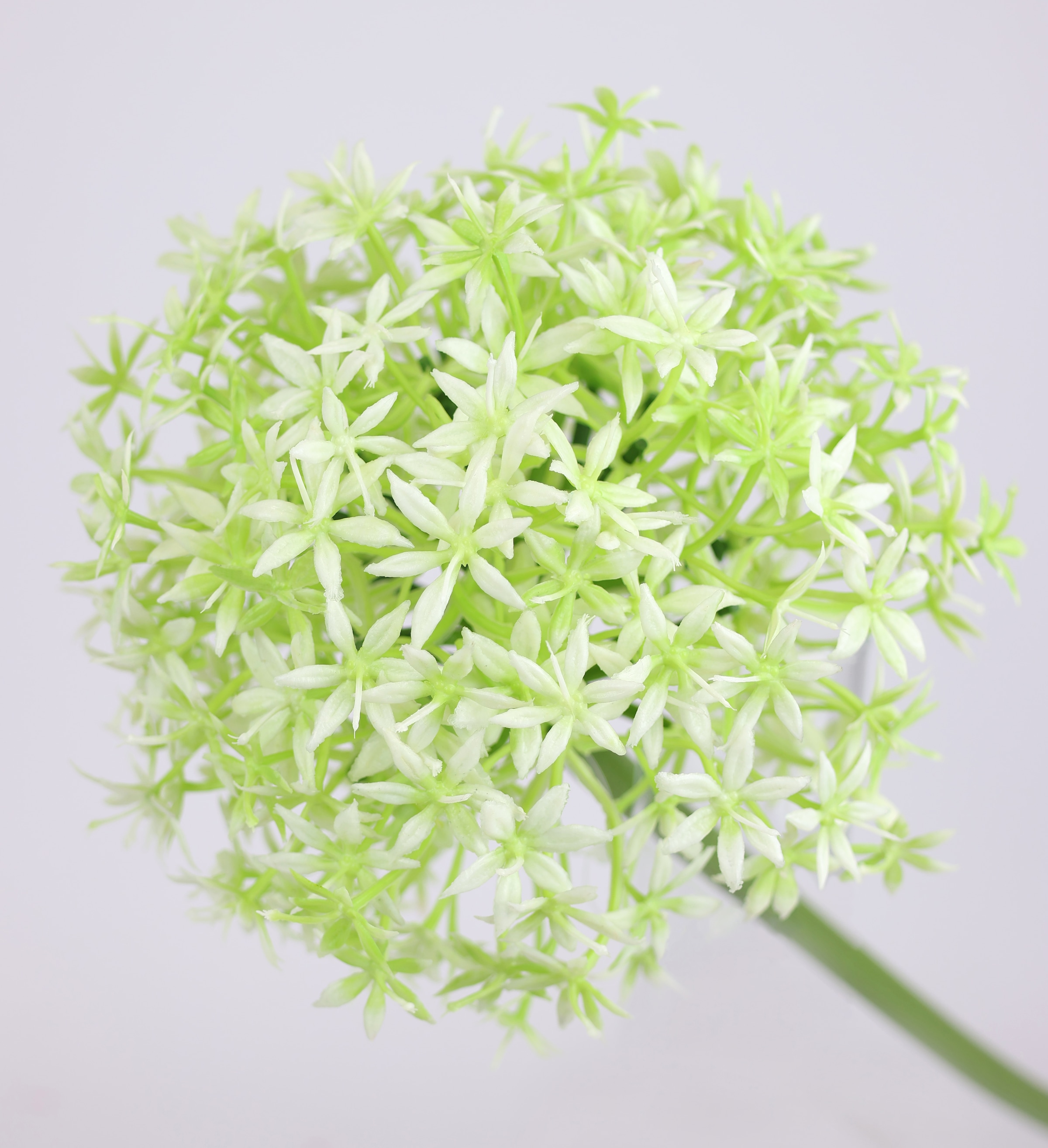 I.GE.A. Kunstblume »Allium Zierlauch«, Stielblume künstliche Blumen, 2er Set