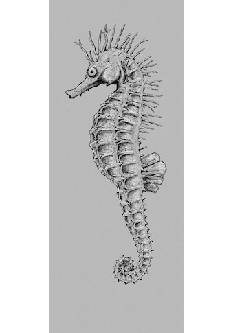 Vliestapete »Seahorse Panel«