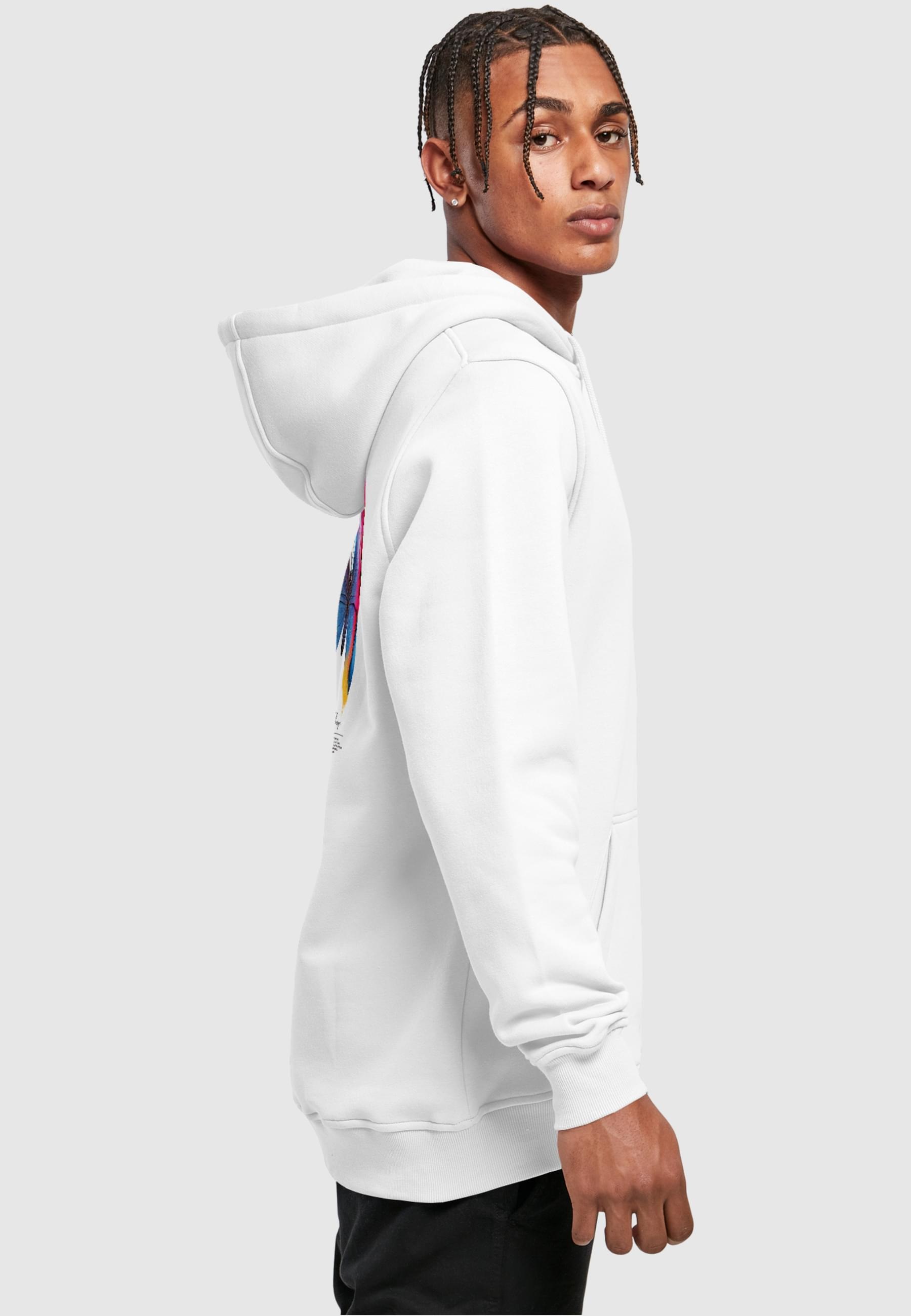 MisterTee Kapuzensweatshirt »MisterTee Herren Become the Change Butterfly 2.0 Hoody«, (1 tlg.)