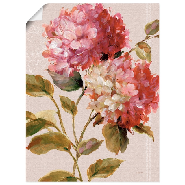 Artland Wandbild »Harmonische Hortensien«, Blumen, (1 St.), als  Leinwandbild, Wandaufkleber oder Poster in versch. Größen kaufen | BAUR