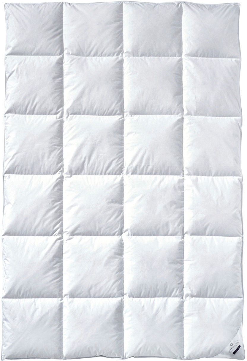 billerbeck Daunenbettdecke "Enisa 80, Bettdecke in 135x200, 155x220, 200x20 günstig online kaufen