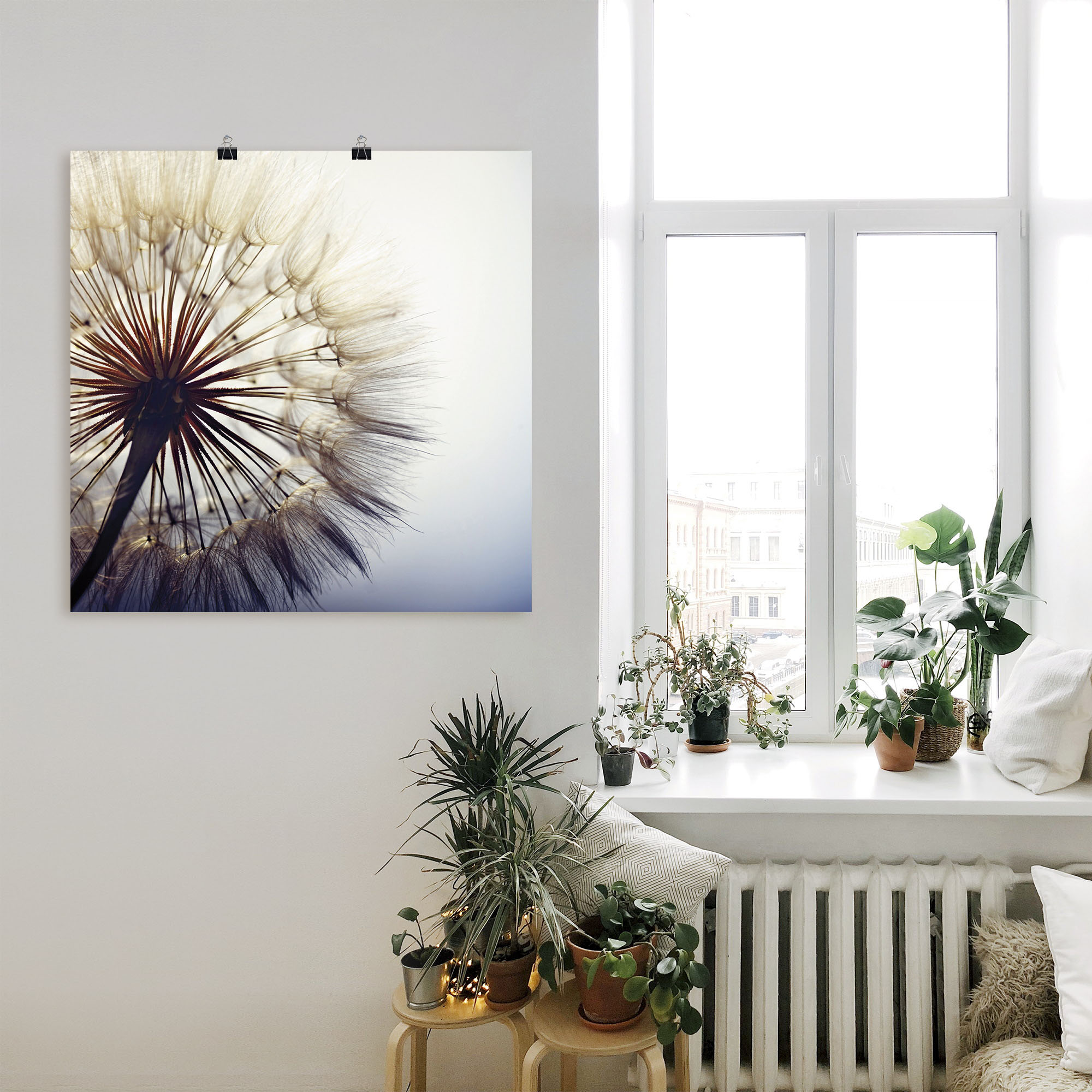 Thumbnail - Artland Wandbild "Große Pusteblume", Blumen, (1 St.), als Alubild, Outdoorbild, Leinwandbild, Poster, Wandaufkleber
