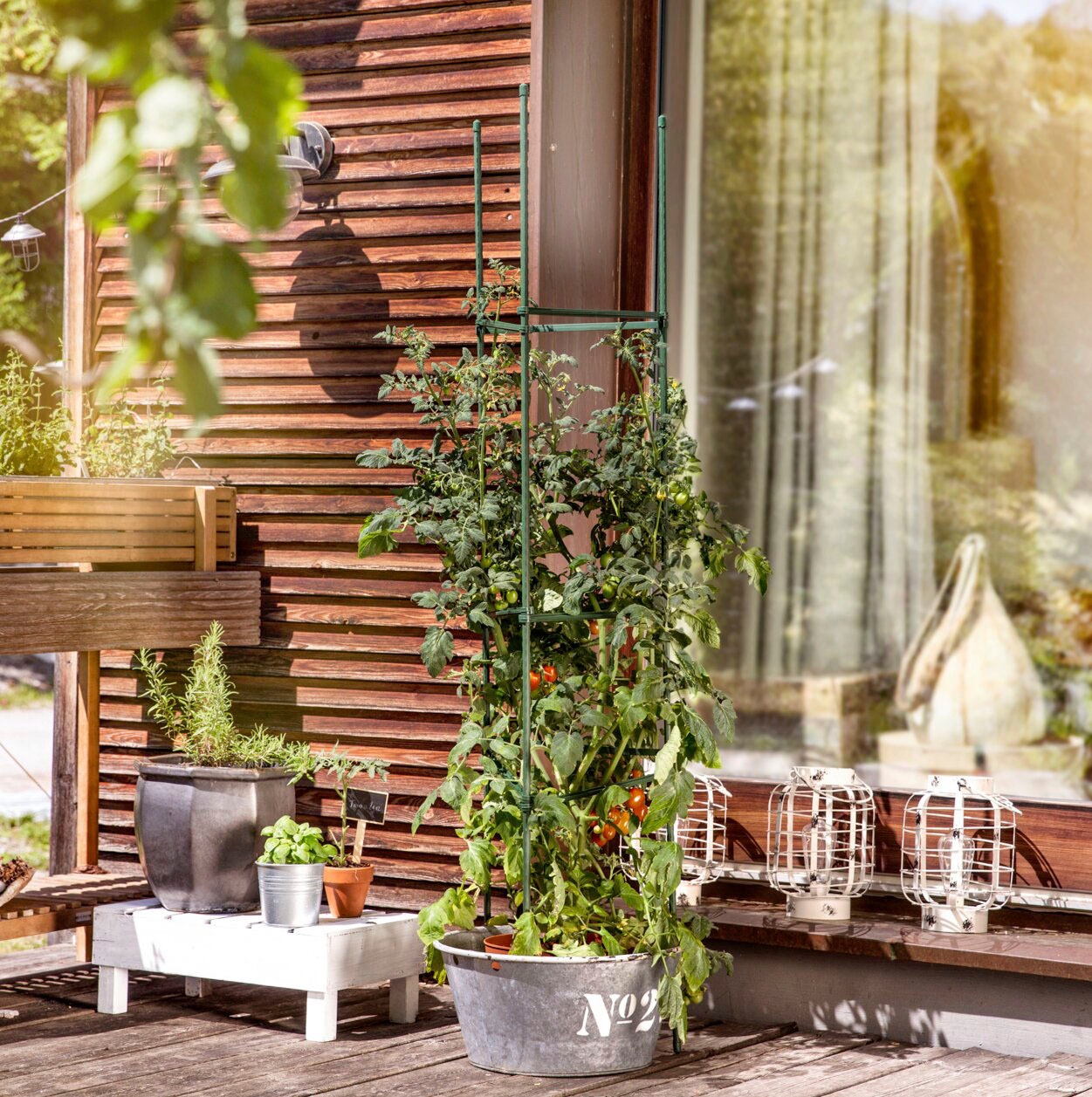 Windhager Ranksäule, Tomaten-Rankturm aus rostfreien Stahlrohren, H: 150 cm günstig online kaufen