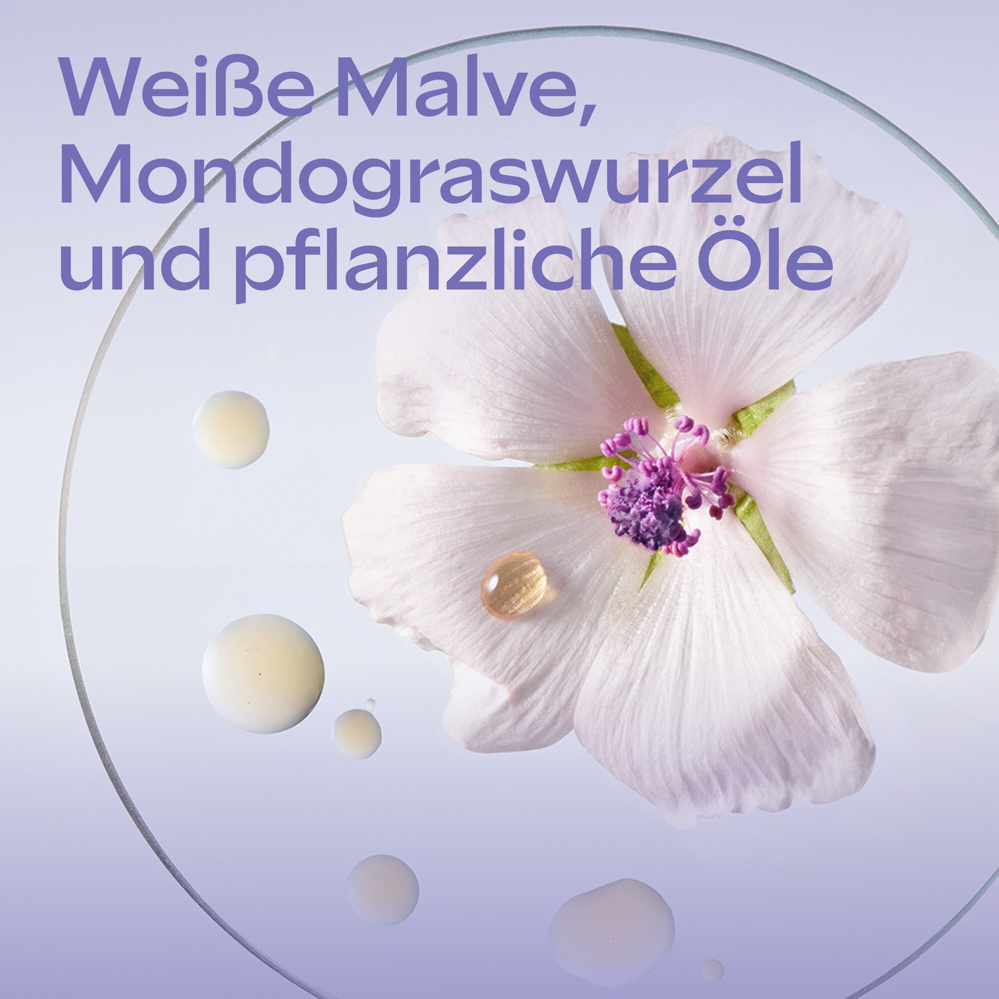 WELEDA Körperlotion »Med 3in1 Pflegelotion Weisse Malve«