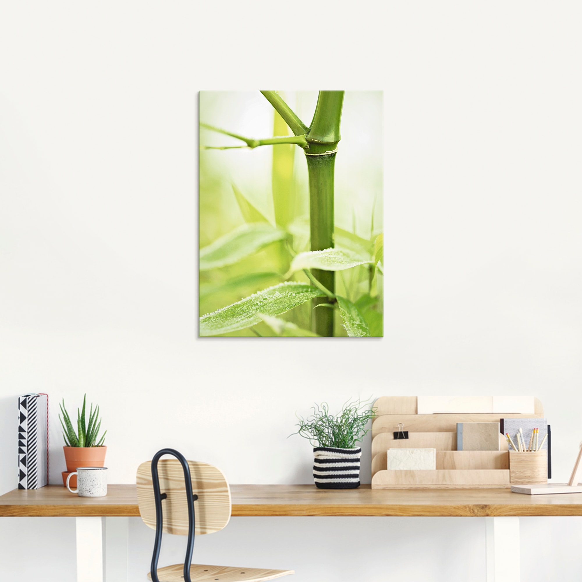 Artland Glasbild »Bambus Zweig«, Gräser, (1 St.), in verschiedenen Größen