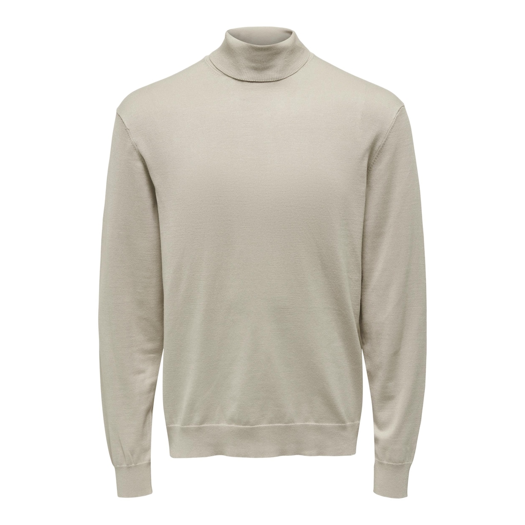 ONLY & SONS Rollkragenpullover »ONSWYLER LIFE REG ROLL NECK KNIT NOOS«