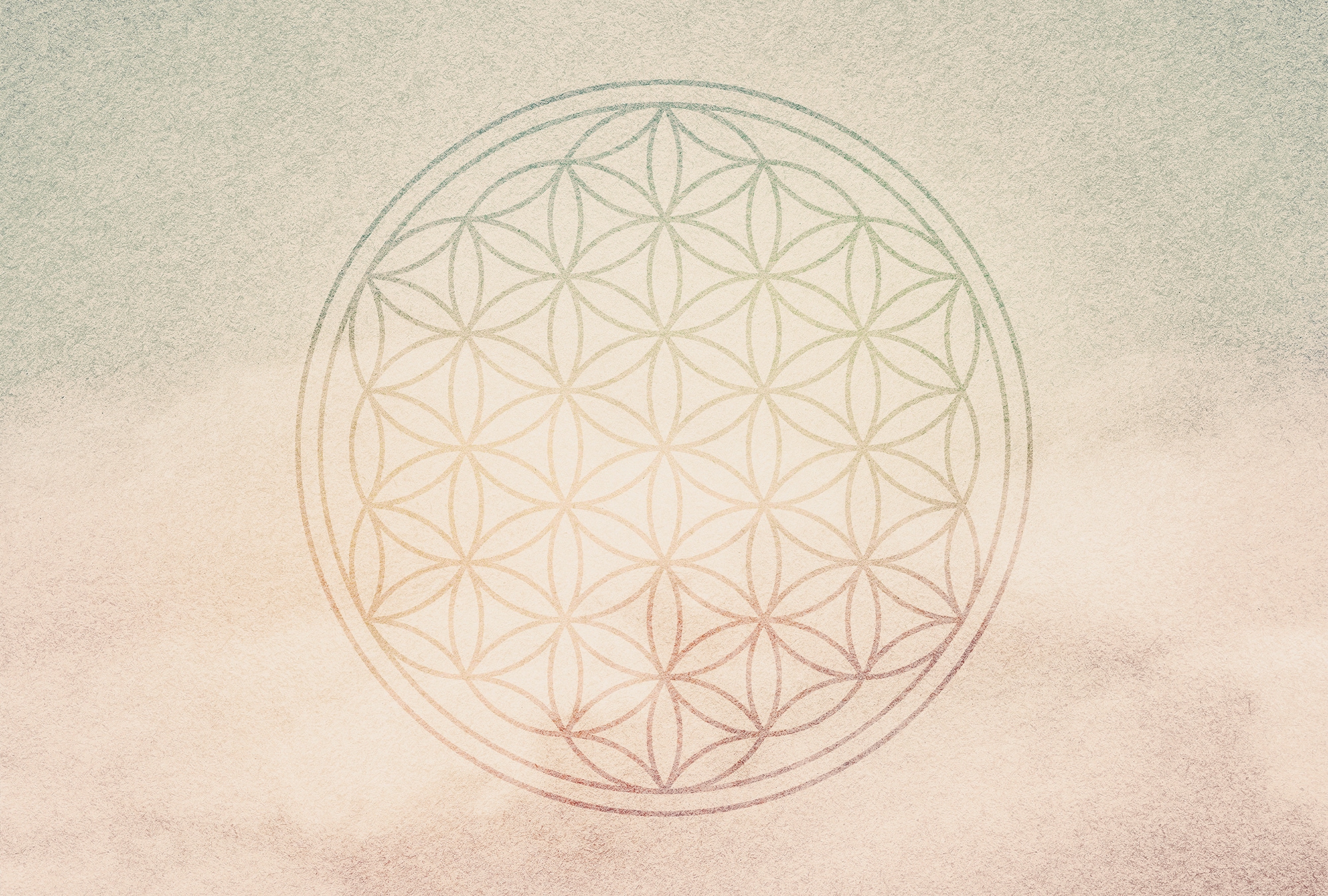 Architects Paper 1100000002199 "Atelier 47 Flower of Life 2" orientalisch glatt Vlies, Wand, Schräge, Decke