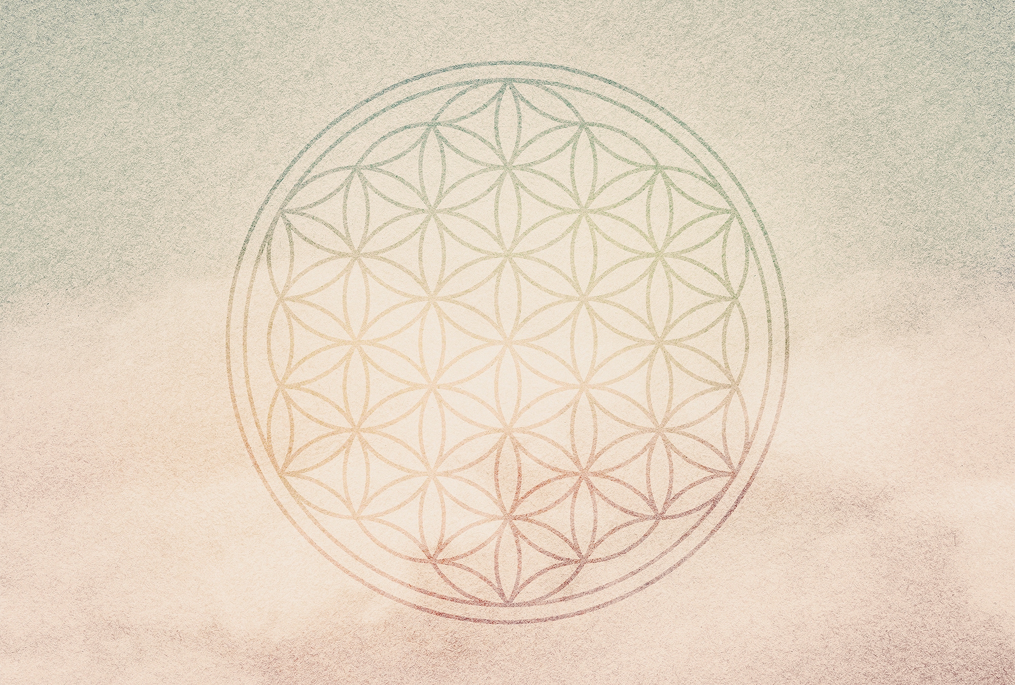 Architects Paper Fototapete "Atelier 47 Flower of Life 2", orientalisch, Vlies, Wand, Schräge, Decke