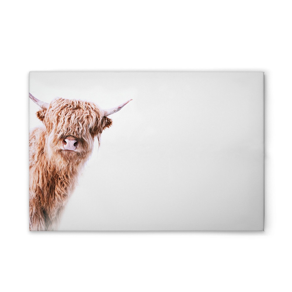 A.S. Création Leinwandbild "Highland Cattle 2 - Wandbild Weiß Braun Keilrah günstig online kaufen