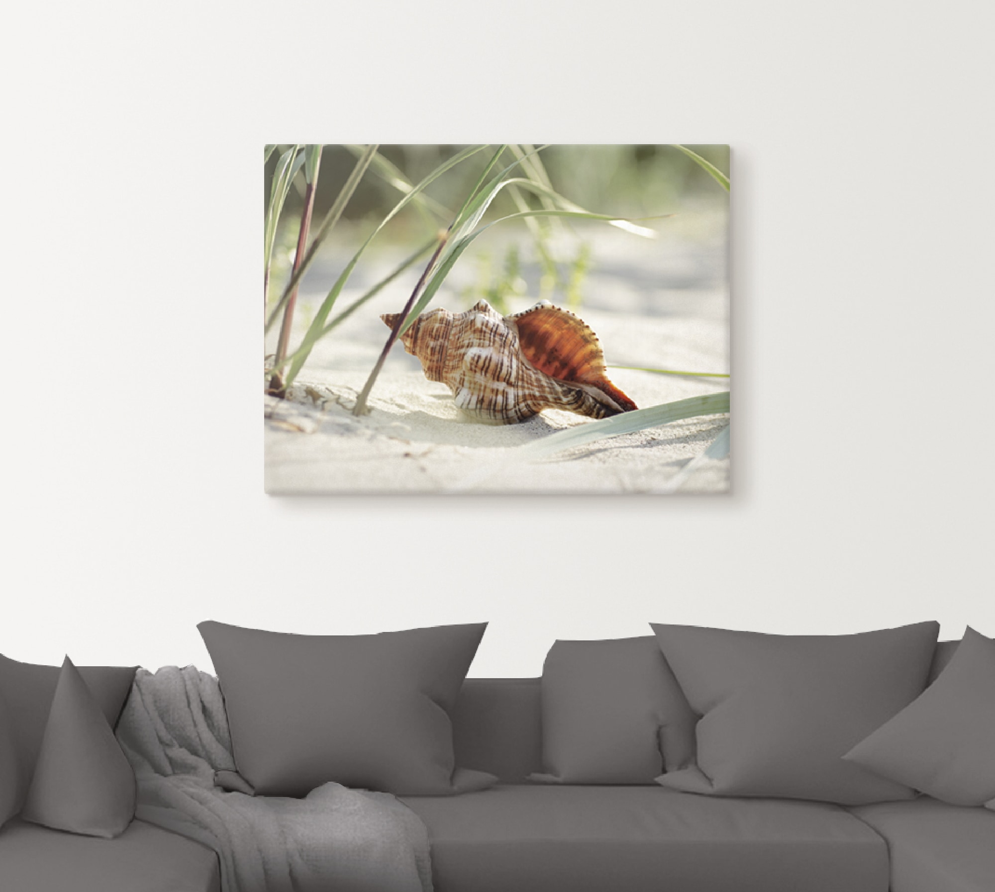 Artland Wandbild »Große Muschel am Strand«, Wassertiere, (1 St.), als Leinwandbild, Poster, Wandaufkleber in verschied. Größen