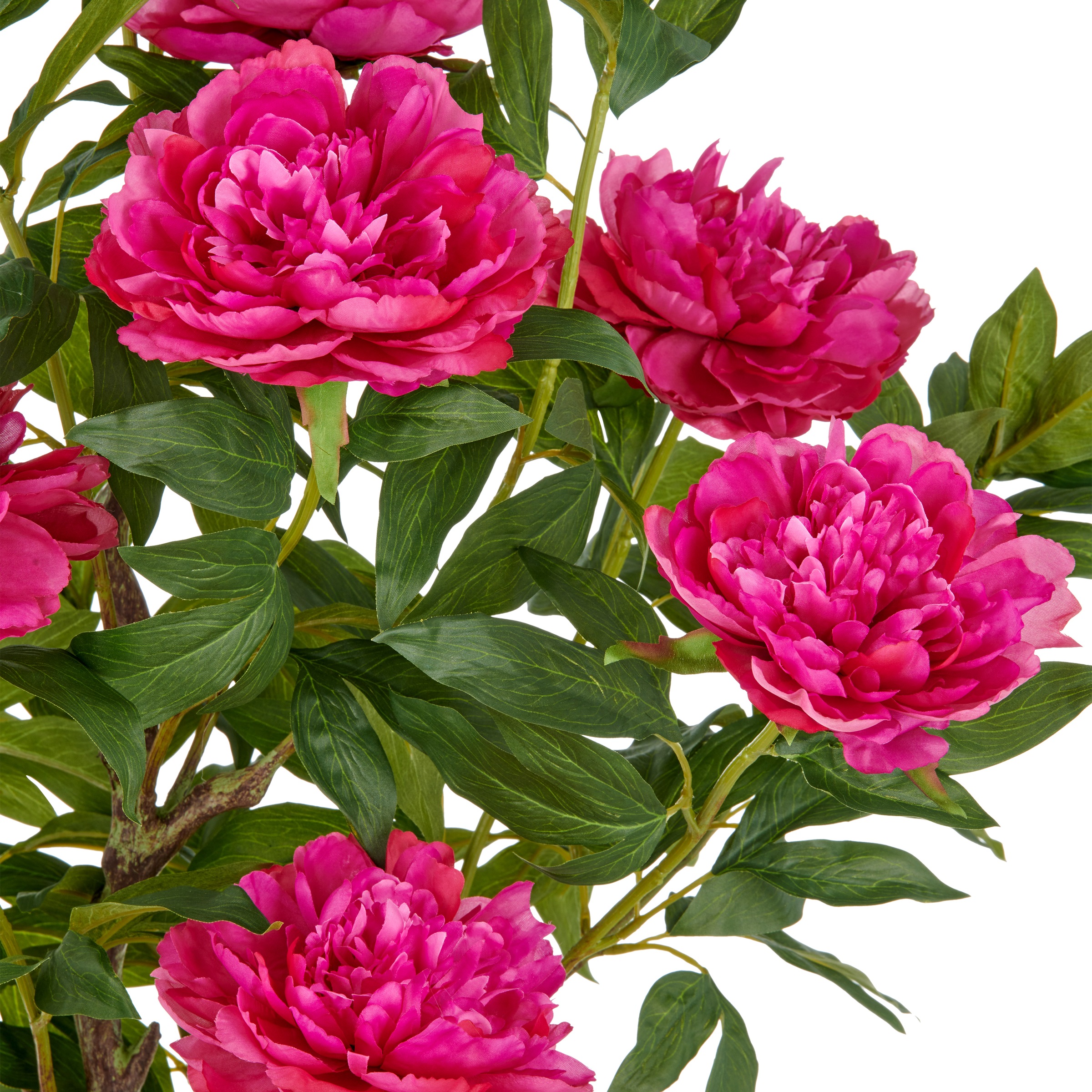 Creativ green Kunstpflanze "Peonie", im eleganten Topf günstig online kaufen