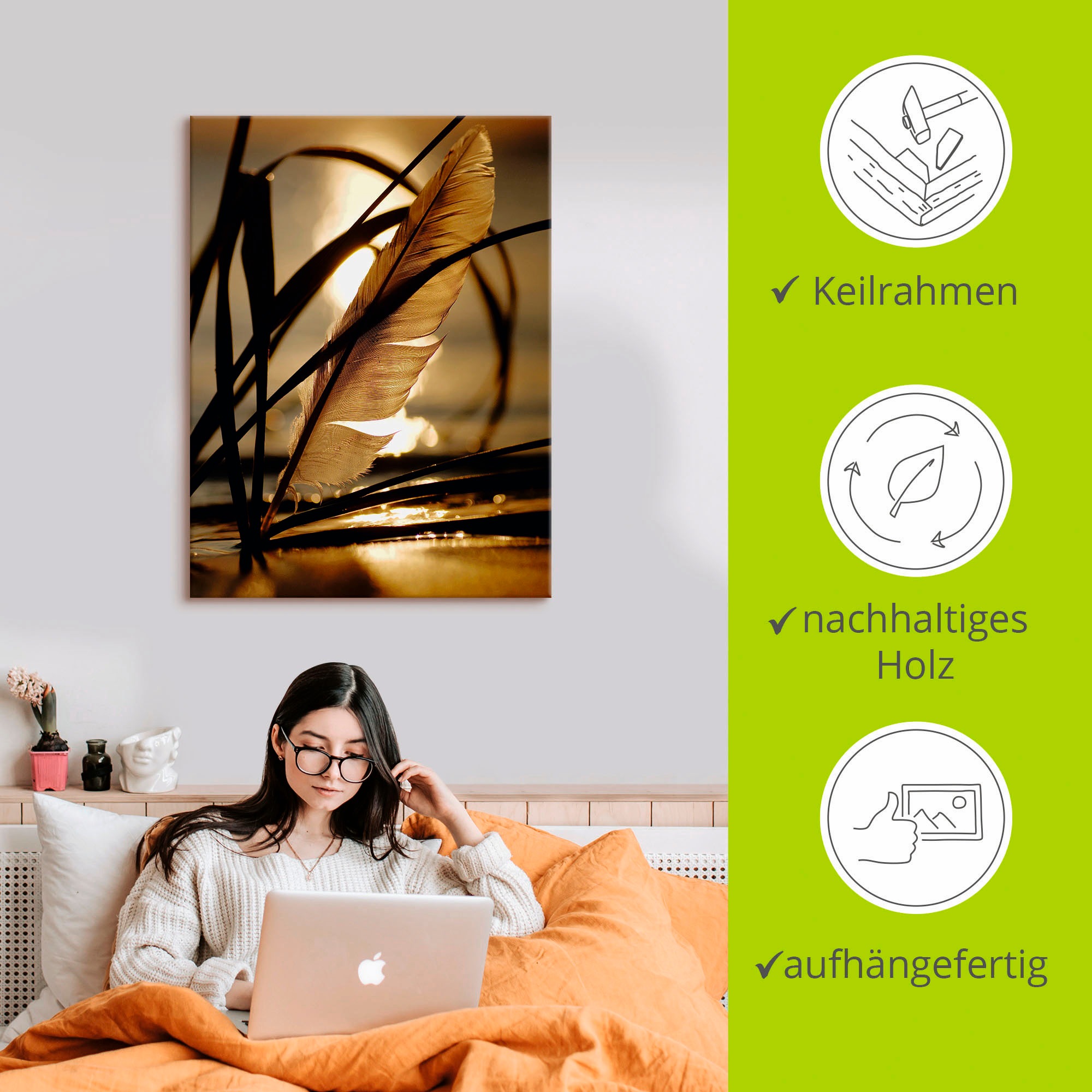 Artland Wandbild »Feder im Abendlicht«, Gräser, (1 St.), als Leinwandbild, Poster, Wandaufkleber in verschied. Größen