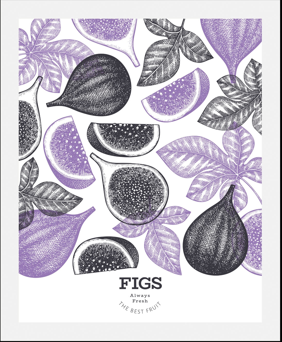 queence Bild »Figs«, Obst-Obst Bilder-Essen-Lebensmittel-Kunst-Abstrakt-Figuren, (1 St.), gerahmt