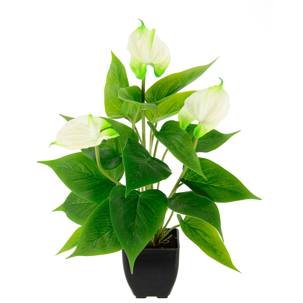 I.GE.A. Kunstblume »Anthuriumpflanze«