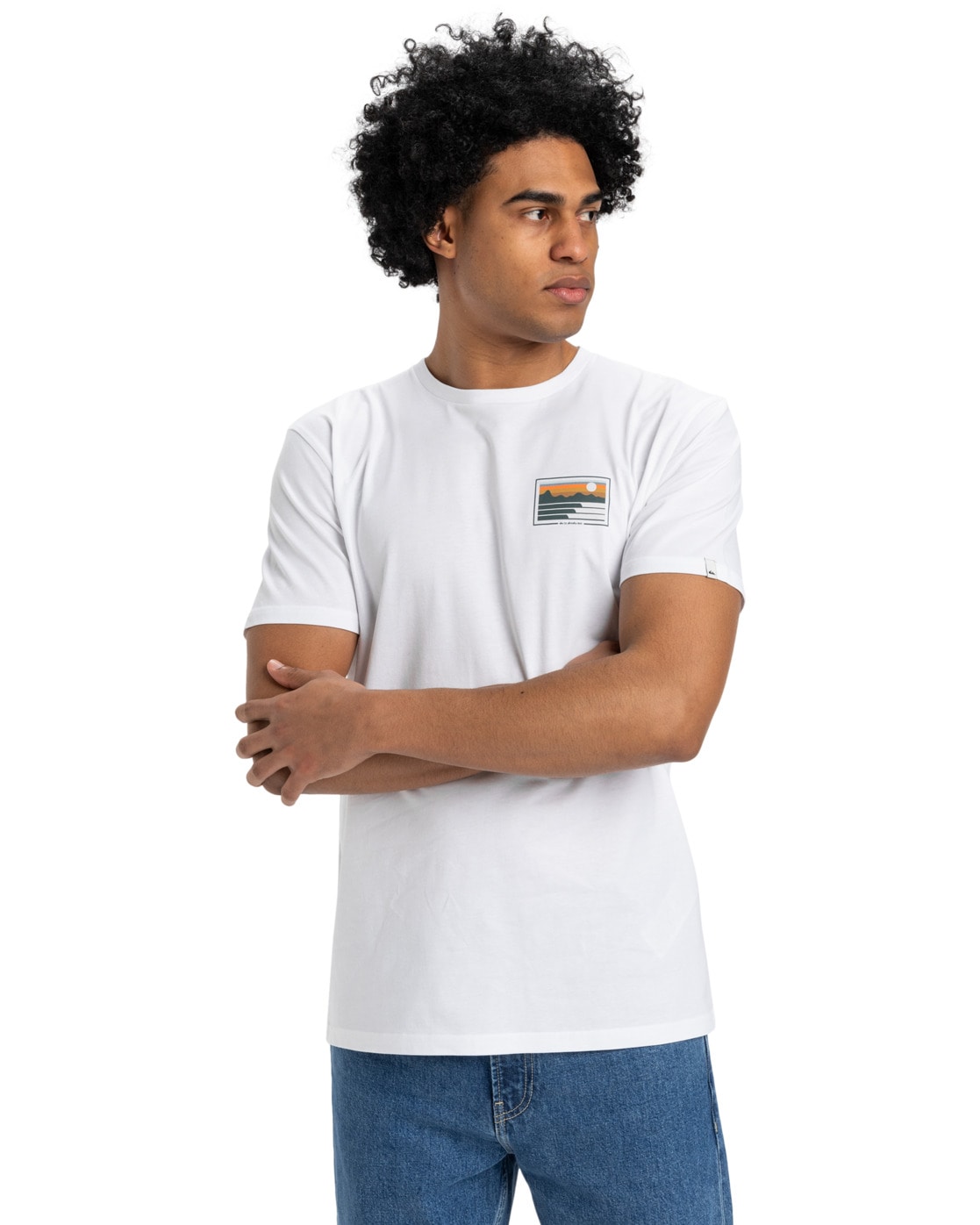 Quiksilver T-Shirt "Land And Sea" günstig online kaufen