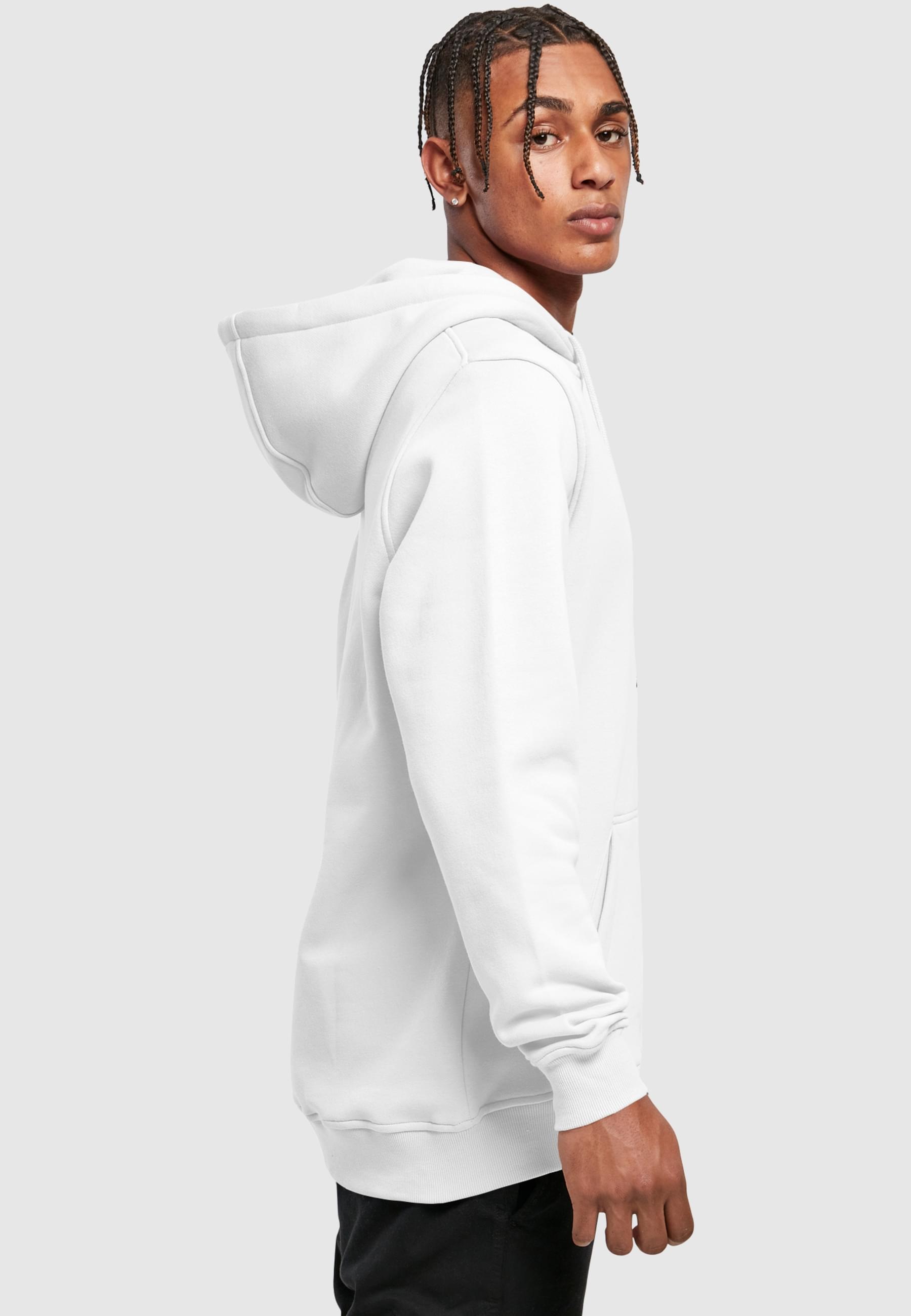 MisterTee Kapuzensweatshirt »MisterTee Herren Seagull Sneakers Hoody«, (1 tlg.)