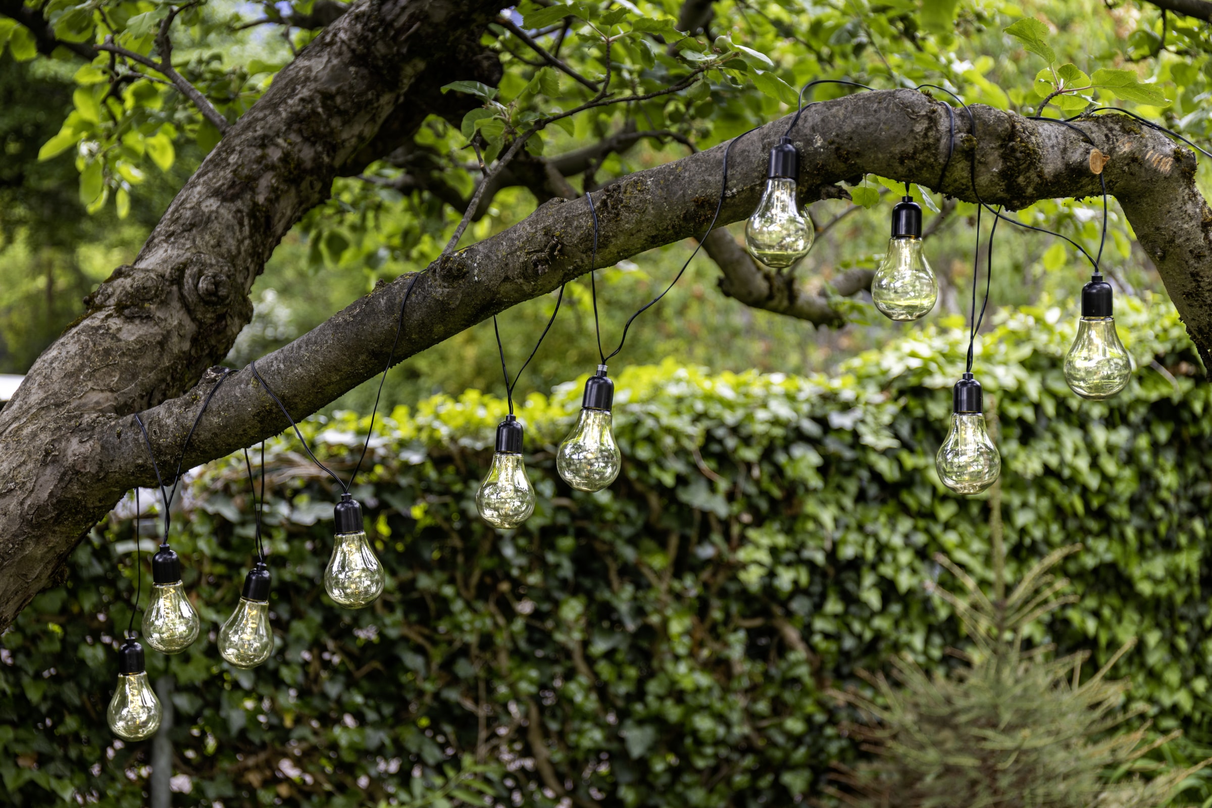 EGLO Lichterkette »LED Lichterkette Libisa, Balkon Deko, Glühbirnen, IP44 Outdoor,« 10 Stk.-flammig aus Kunststoff, 10 Leuchtmittel, 4,05m Kabel