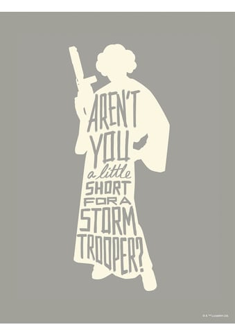 Komar Paveikslas »Star Wars Silhouette Quote...