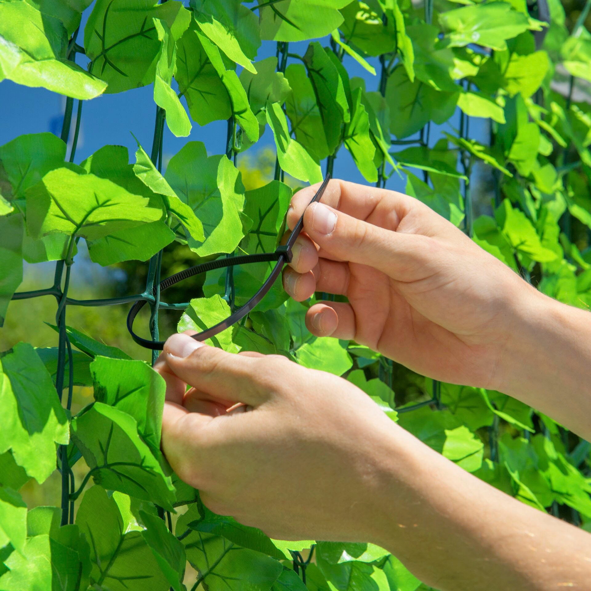 Windhager Sichtschutzzaunmatten, natürlich wirkende Weinoptik durch unregelmäßige Blattfarbe, L: 3 m