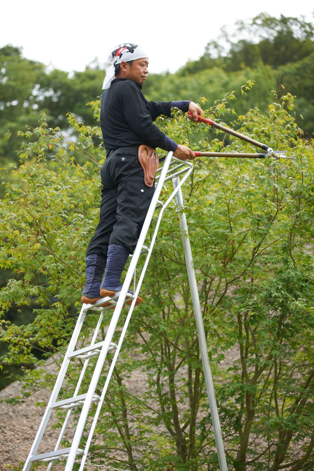 Niwaki Vielzweckleiter, Gartenleiter, gleicht Unebenheiten im Gelände aus