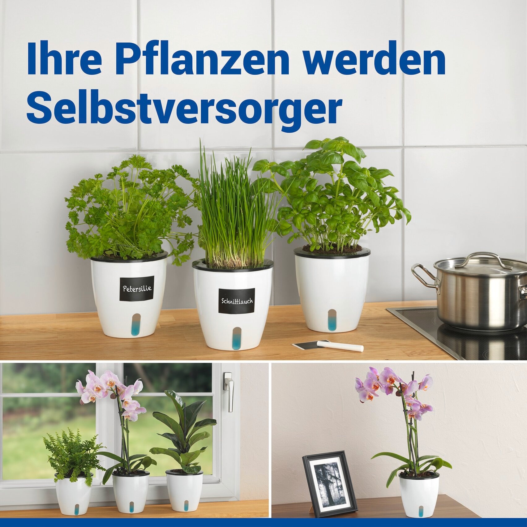 Maximex Pflanzschale »Selbstbewässernde Pflanztöpfe« 13x13,5 cm, mit Wasserstandsanzeige