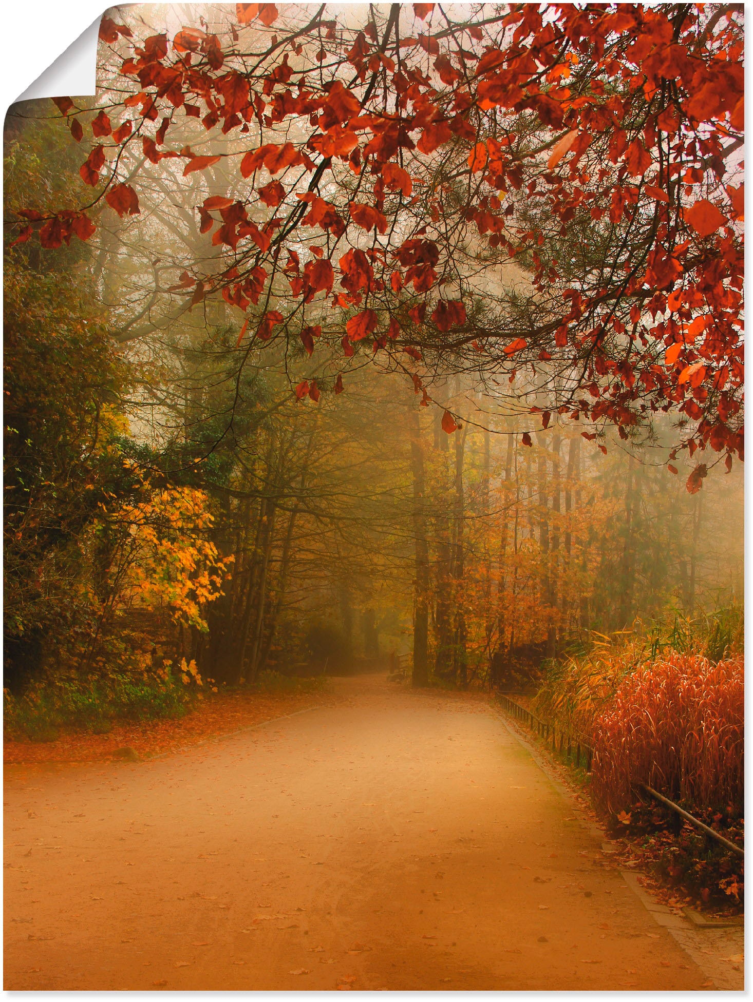 Artland Wandbild "Herbst im Park" Vier Jahreszeiten 1 Stk. tlg. als Poster günstig online kaufen